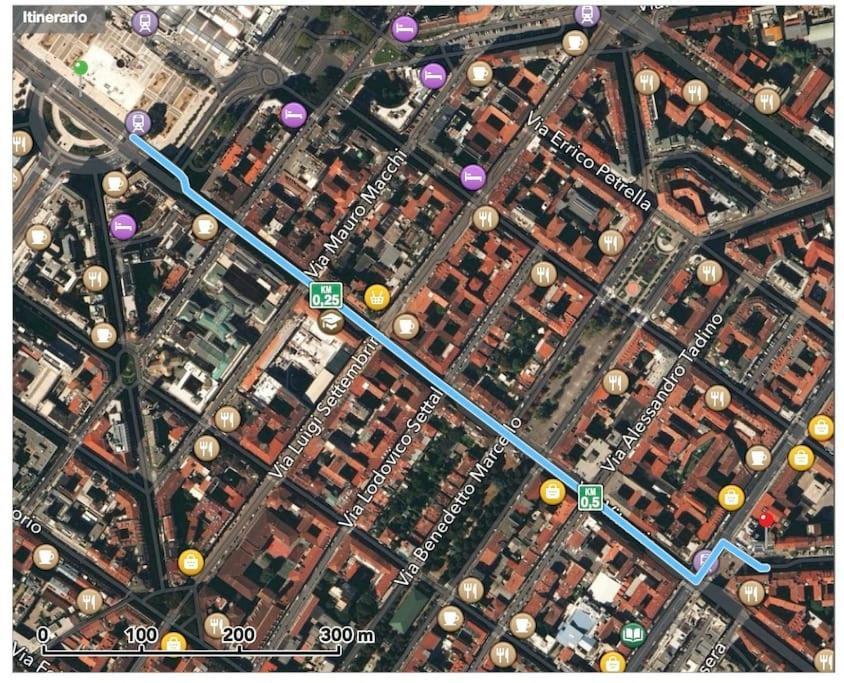 Dream Garden Center On Subway 10 Guest Appartement Milan