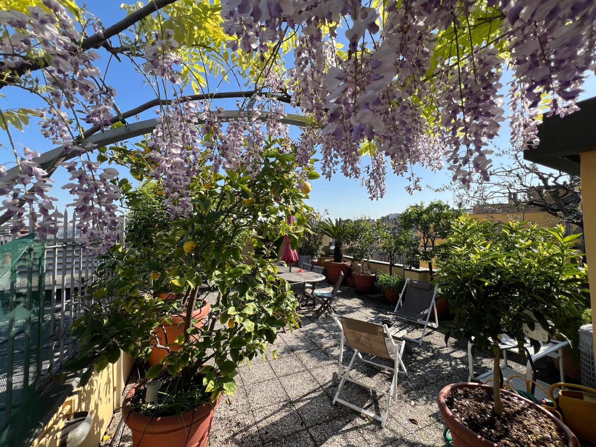Dream Garden Center On Subway 10 Guest Appartement Milan